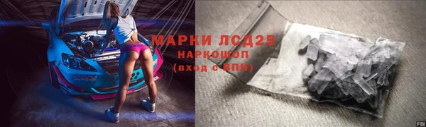 стафф Арсеньев