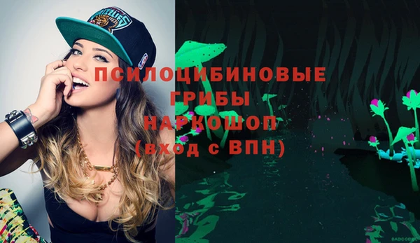 ПСИЛОЦИБИНОВЫЕ ГРИБЫ Армянск