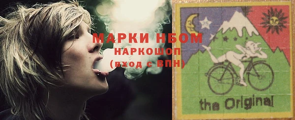 стафф Арсеньев