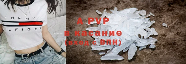 стафф Арсеньев