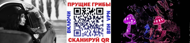 Купить закладки  Суздаль  Псилоцибиновые грибы Magic Shrooms 